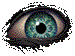 A staring eye
